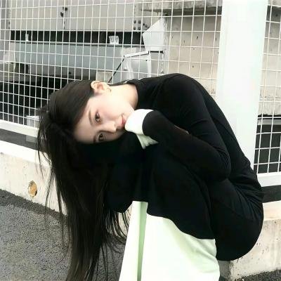燕子盗 封面